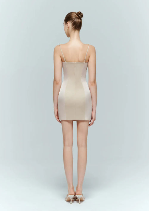 Champagne pink mini dress back view – Enpure bodycon cocktail dress by Artel Retro